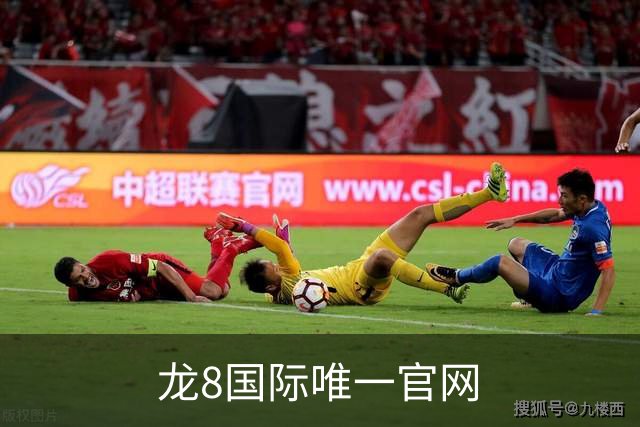 龙8国际唯一官网平台介绍图片